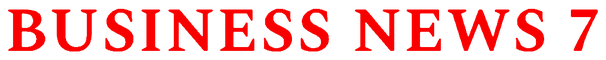 Business News 7 logo