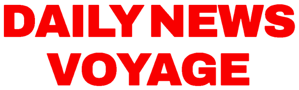Daily News Voyage logo