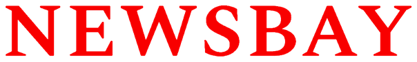 NewsBay logo